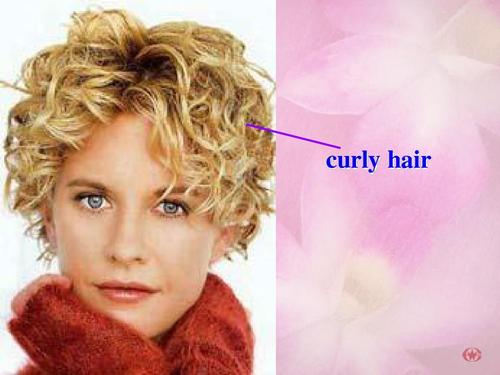 curly是什么意思英语(curly这个单词是什么意思)